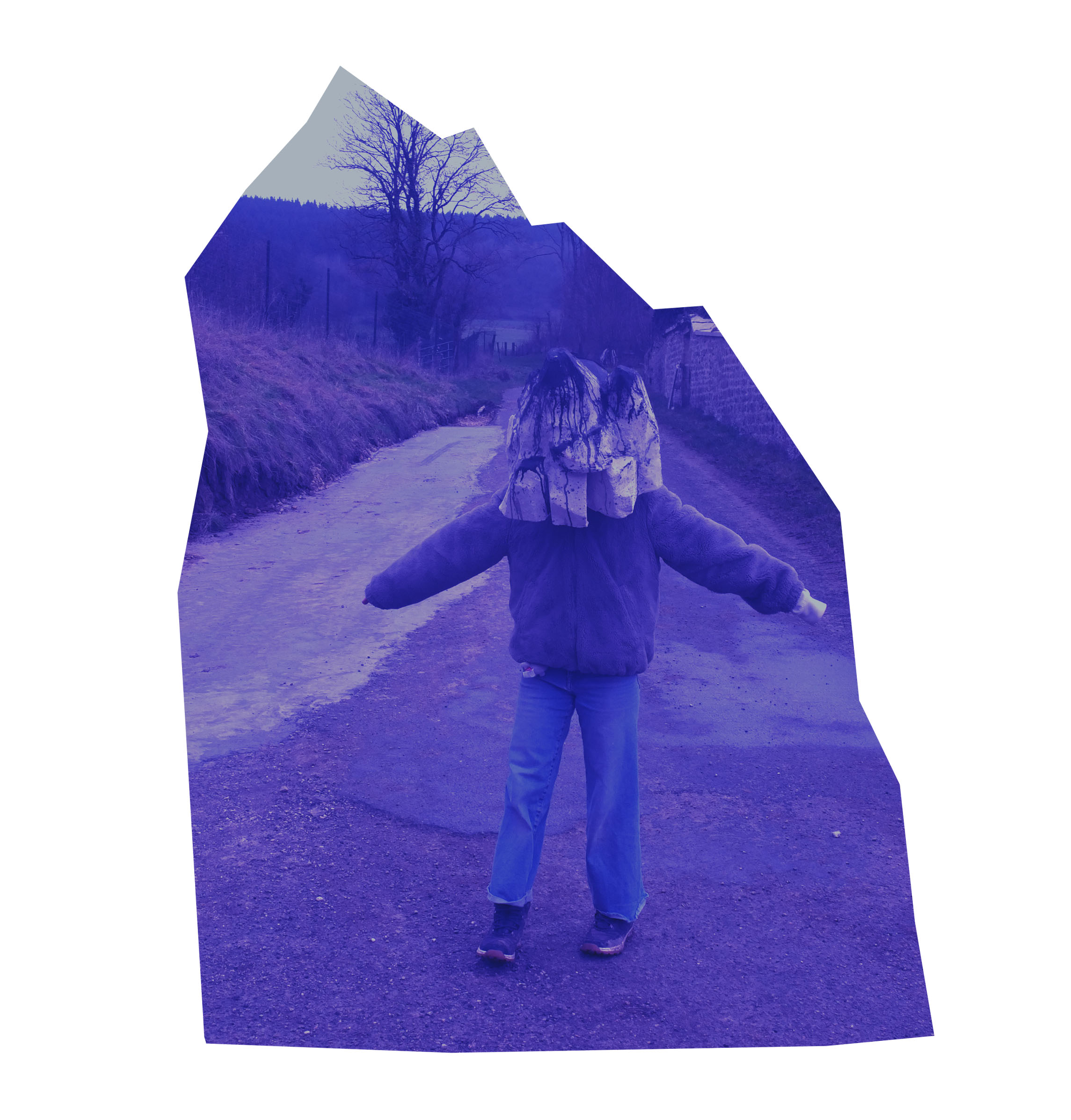 NOS MONATGNES -vue d'ici 1